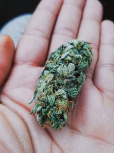 CBD žiedai